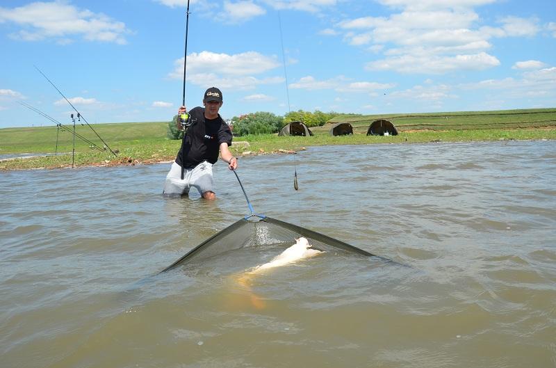Sarulesti - Mai 2013 - andrei-vladeanu-pescuit-sarulesti-18.JPG